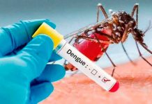Alarmante aumento de casos de Dengue en 5 departamentos de Honduras Alarmante aumento de casos de Dengue en 5 departamentos de Honduras
