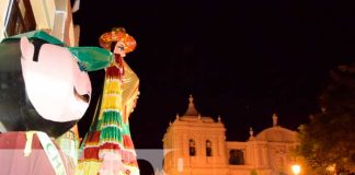 León en vísperas de la navidad