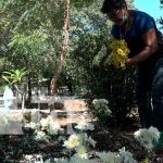 Pobladores conmemoran a sus fieles difuntos en León Conmemoran a sus fieles difuntos en León