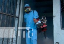 MINSA desarrolla jornadas de fumigación y abatización en Managua Jornada de fumigación y abatización en Villas de Guadalupe,Managua