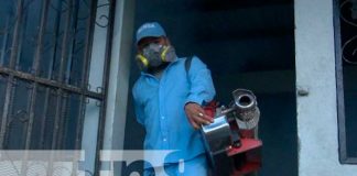 Jornada de fumigación y abatización en Villas de Guadalupe,Managua