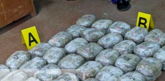 Incautación de cargamento con marihuana en Madriz