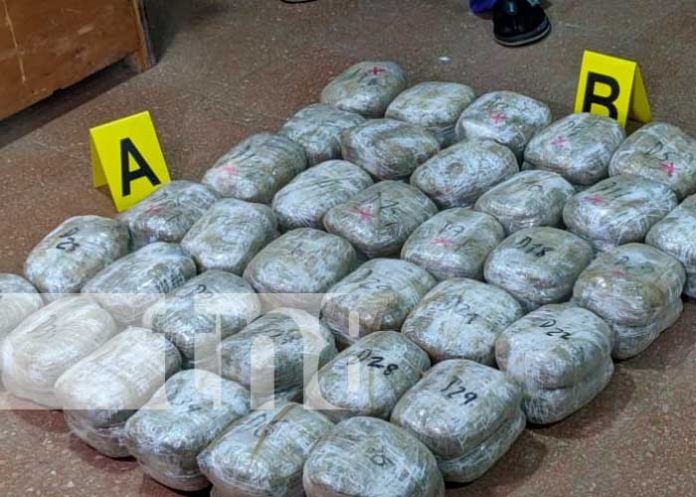 Incautación de cargamento con marihuana en Madriz