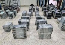 Confiscan una tonelada de cocaína a la potente mafia Ndrangheta, Italia Confiscan una tonelada de cocaína a la potente mafia Ndrangheta, Italia
