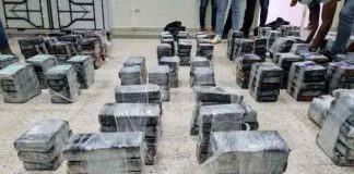 Confiscan una tonelada de cocaína a la potente mafia Ndrangheta, Italia
