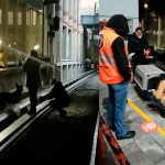Pura telenovela: Tras 20 días, rescatan a perro en el metro de CDMX, México Pura telenovela: Tras 20 días, rescatan a perro en el metro de CDMX, México