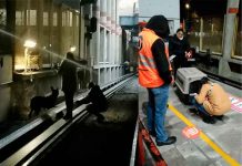 Pura telenovela: Tras 20 días, rescatan a perro en el metro de CDMX, México