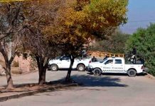 Colgados de árboles y un puente, hallan ocho cuerpos en México Colgados de árboles y un puente, hallan ocho cuerpos en México