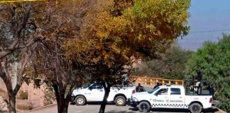 Colgados de árboles y un puente, hallan ocho cuerpos en México