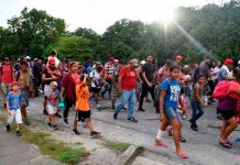 Muere migrante por disparo de arma de fuego en Chiapas Muere migrante por disparo de arma de fuego en Chiapas
