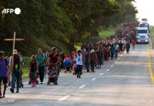 México regulariza a 800 migrantes en tránsito por su territorio México regulariza a 800 migrantes en tránsito por su territorio