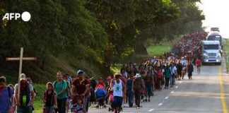 México regulariza a 800 migrantes en tránsito por su territorio