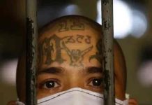 Condenan por asesinato a líderes de la pandilla salvadoreña MS-13 en EEUU Condenan por asesinato a líderes de la pandilla salvadoreña MS-13 en EEUU