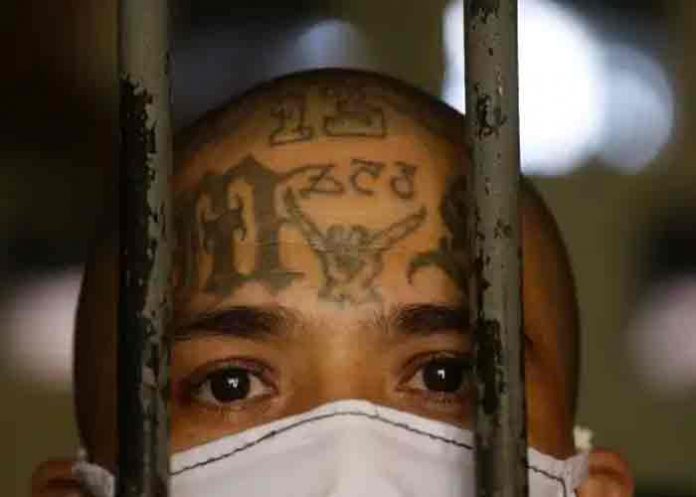 Condenan por asesinato a líderes de la pandilla salvadoreña MS-13 en EEUU