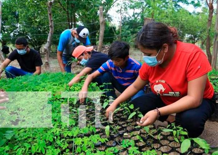 Formación técnica desde el Instituto Tecnológico de Nandaime