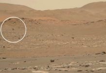 El róver Perseverance de la NASA capta el vuelo de un helicóptero en Marte Vuelo de un helicóptero en Marte