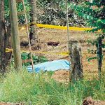 Nicaragüense muere tras recibir descarga eléctrica cuando fumigaba Nicaragüense muere tras recibir descarga eléctrica cuando fumigaba