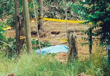 Nicaragüense muere tras recibir descarga eléctrica cuando fumigaba Nicaragüense muere tras recibir descarga eléctrica cuando fumigaba