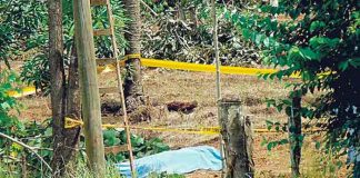 Nicaragüense muere tras recibir descarga eléctrica cuando fumigaba
