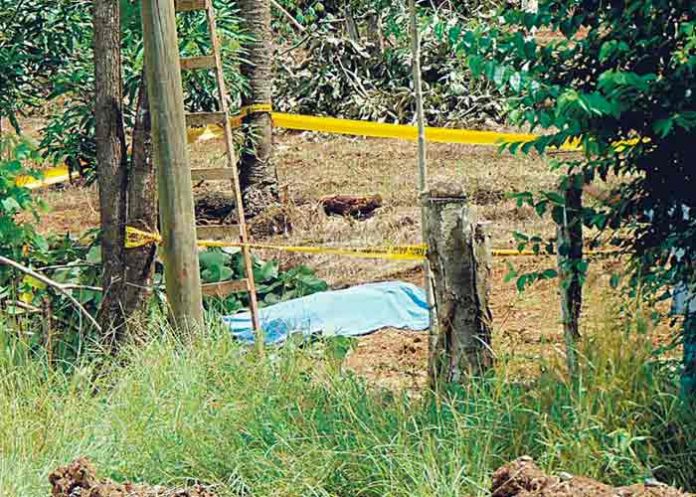 Nicaragüense muere tras recibir descarga eléctrica cuando fumigaba