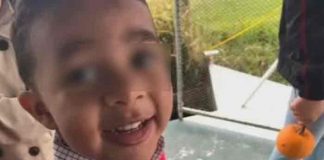 Niño murió por un tumor que tenía en el cerebro y nadie lo sabía, EE.UU
