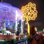 Rosario Murillo: "Vamos a celebrar a nuestra Madre María, reina de Nicaragua"