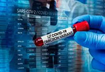 ¿Qué es la variante ómicron del COVID-19?