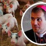 Obispo que colgó la sotana por amor, ahora vende semen de cerdo Obispo que colgó la sotana por amor, ahora vende semen de cerdo