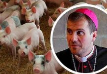 Obispo que colgó la sotana por amor, ahora vende semen de cerdo Obispo que colgó la sotana por amor, ahora vende semen de cerdo