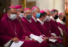 Francia: Obispos analizan informe sobre abusos sexuales a menores Francia: Obispos analizan informe sobre abusos sexuales a menores