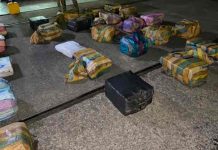 Decomisan 987 paquetes de droga y capturan a colombianos en Panamá