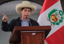 Pdte. de Perú declara emergencia en cuatro regiones tras potente terremoto