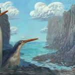 Destacan hallazgo de nueva especie de pingüino en Nueva Zelanda