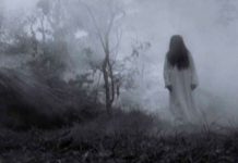 ¡Que miedo! Camionero filmó a "La Llorona" en una carretera de Argentina