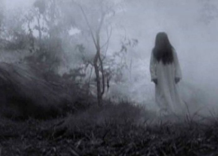 ¡Que miedo! Camionero filmó a 