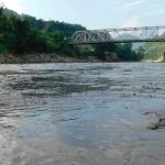 Apocalíptico: Río se vuelve negro, mató a miles de peces y desata el pánico en la India