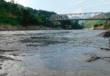 Apocalíptico: Río se vuelve negro, mató a miles de peces y desata el pánico en la India