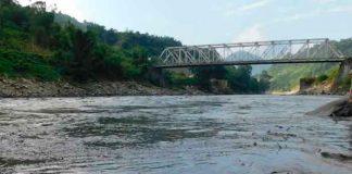 Apocalíptico: Río se vuelve negro, mató a miles de peces y desata el pánico en la India