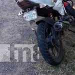 Accidente de tránsito por culpa de un perro en Rivas