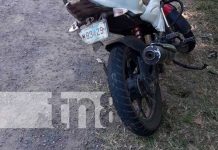¡Ni ladró! Perro sobre la vía provoca accidente de tránsito en Rivas Accidente de tránsito por culpa de un perro en Rivas