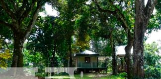 Finca Ecoturística Reymar podría ser la 3ra reserva silvestre privada de Siuna