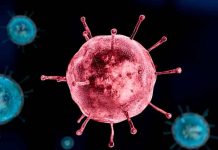 Confirman la primera muerte por influenza en Los Ángeles, California Confirman la primera muerte por influenza en Los Ángeles, California