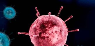 Confirman la primera muerte por influenza en Los Ángeles, California