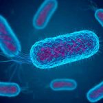 Confirman brote de la bacteria shigella en San Diego, California