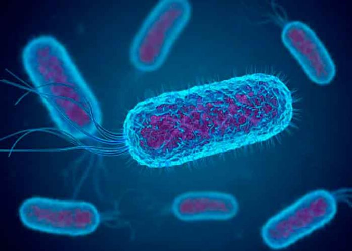 Confirman brote de la bacteria shigella en San Diego, California