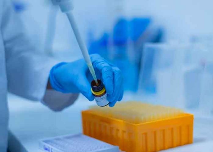 ¡Otra más! Identifican nueva variante del covid-19 en Francia