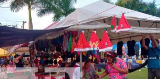 Carnaval acuático en San Carlos