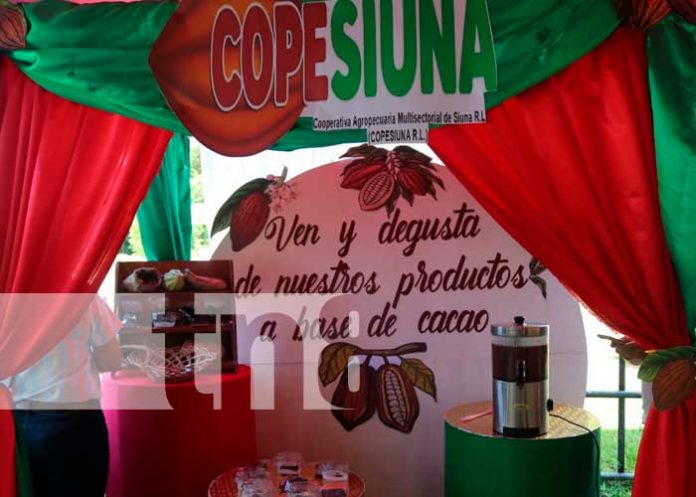Valor para elaborar chocolate en Siuna