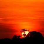 Caos climático: En estas ciudades del mundo no verán el sol hasta 2022