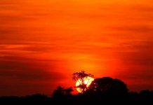 Caos climático: En estas ciudades del mundo no verán el sol hasta 2022 Caos climático: En estas ciudades del mundo no verán el sol hasta 2022
